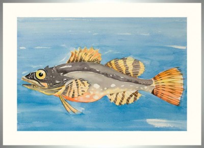 01-Seeskorpion-Rahmen