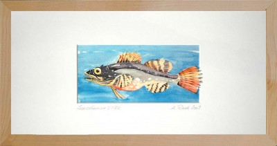 03-Seeskorpion-Druck-Birke