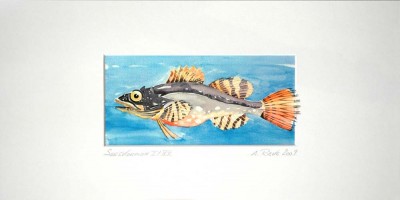 04-Seeskorpion-Druck