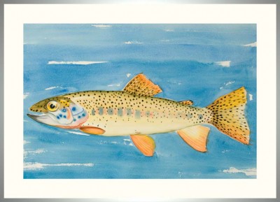20-Forelle-Rahmen