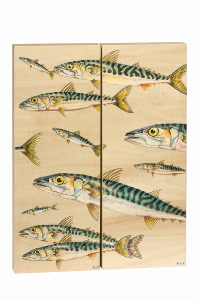 09-Atlantische Makrelen I+II