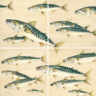 43-GroÃer Schwarm Quadrat-1