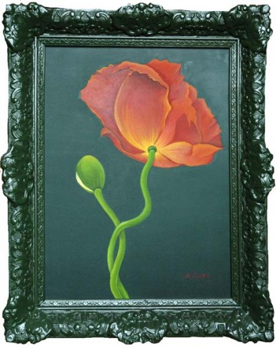 64-Mohn-30x40